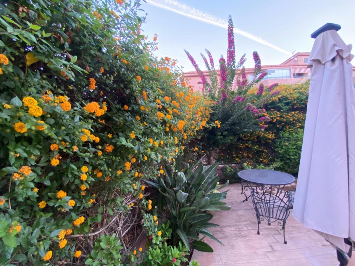 Apartamento Jardin Sanlucar Sanlúcar de Barrameda Kültér fotó